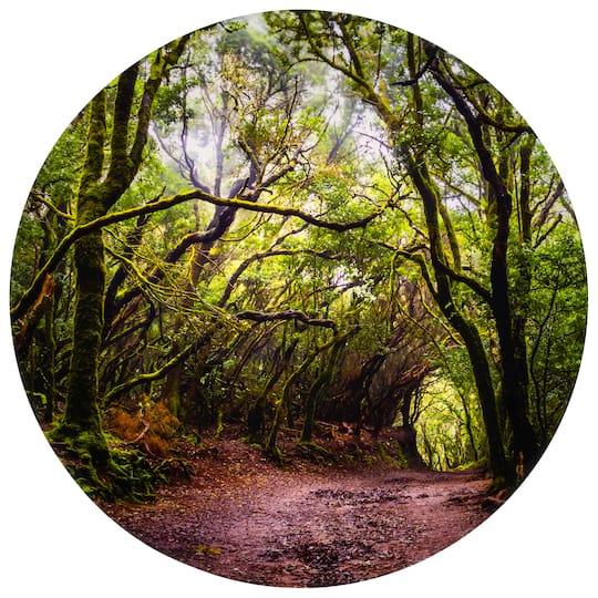 TickiT® 24.5" Forest Discovery Play Mat
